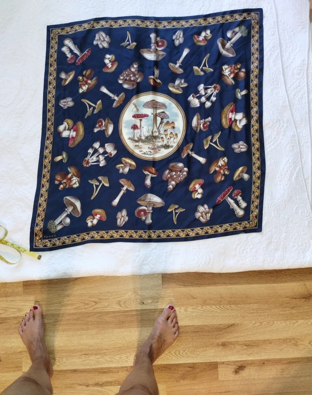 Echo Navy Blue Mushroom Print Silk Scarf
